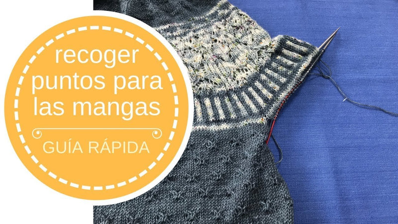 Recuperar puntos para las mangas – guía rápida