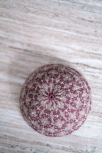 Pendueles hat and cowl